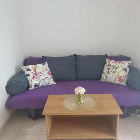 Apartment Savic Starigrad Paklenica Bagian luar foto