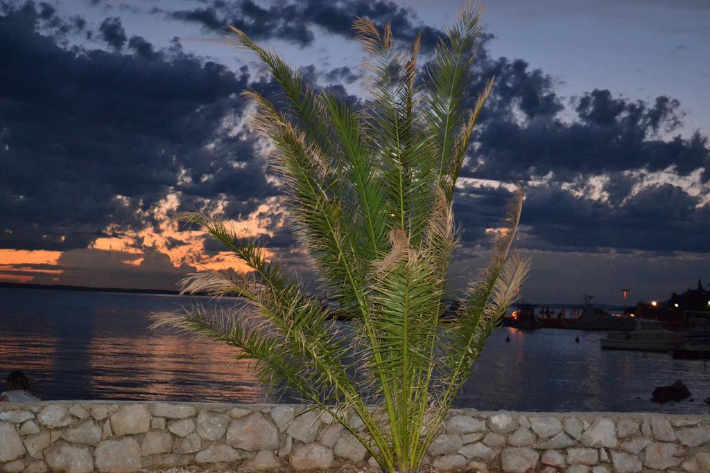 Apartment Savic Starigrad Paklenica Bagian luar foto
