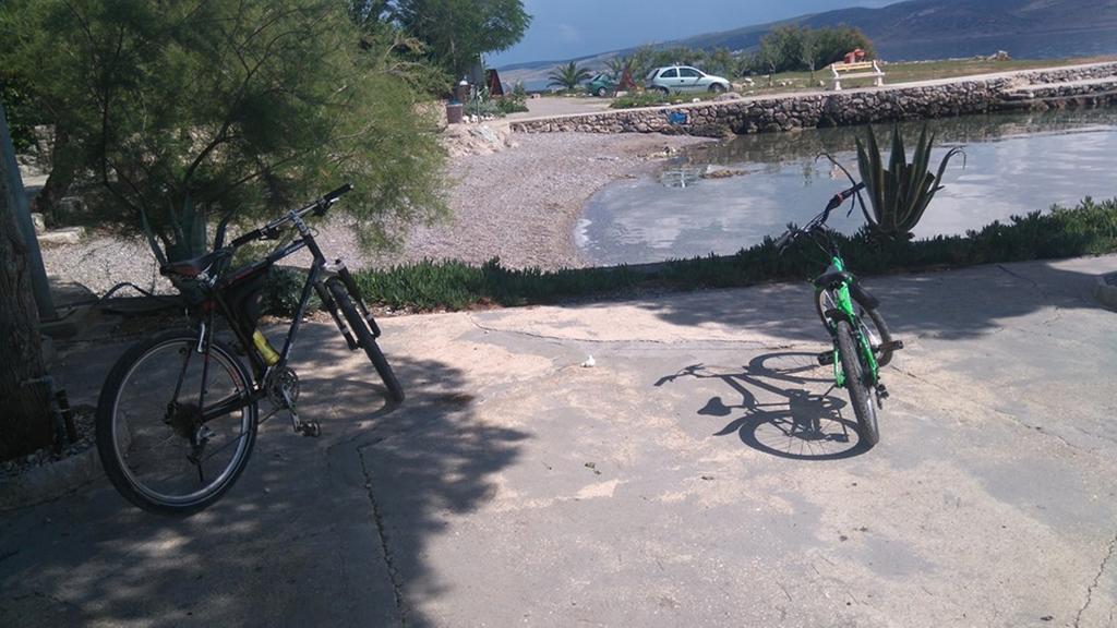 Apartment Savic Starigrad Paklenica Bagian luar foto